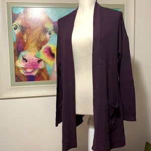 American Eagle cardigan